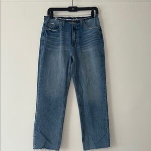 Vervet Blue Straight Leg Denim Jeans Size 27